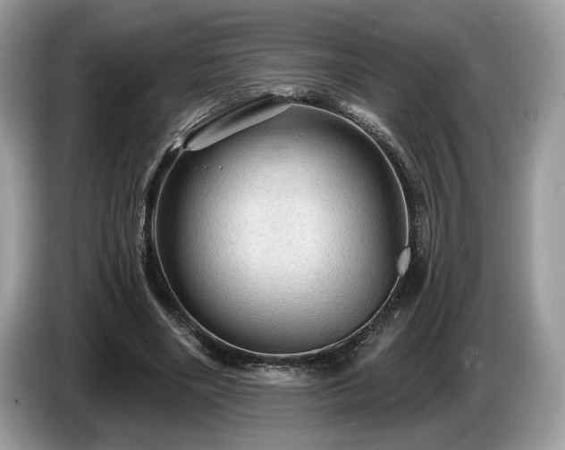 X0000087550490200704271211