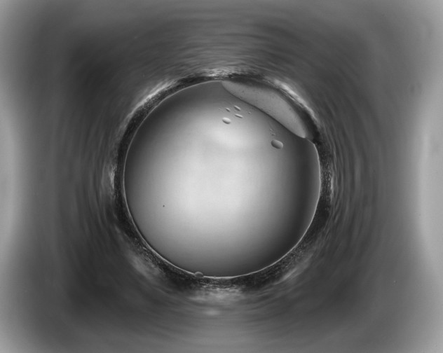 X0000087550491200704271211