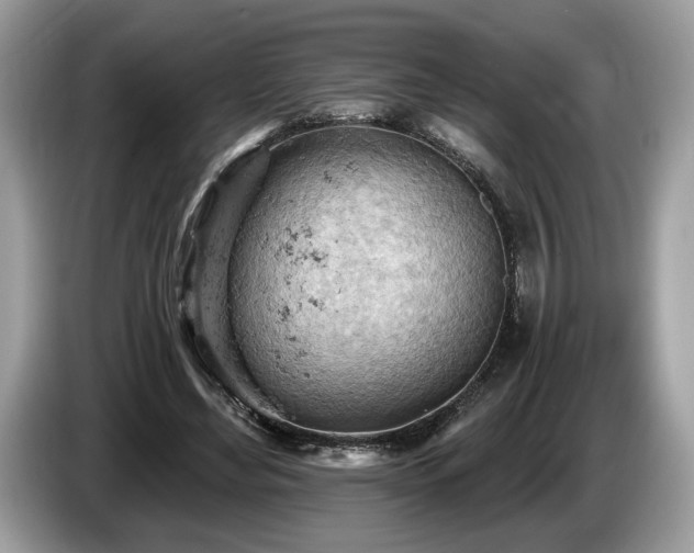 X0000087550492200704271211
