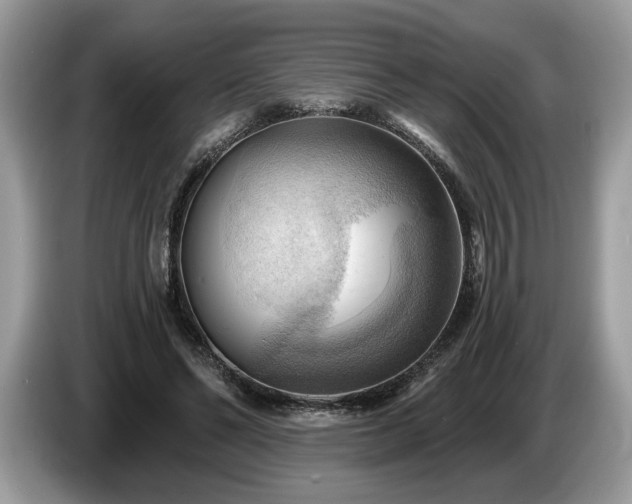 X0000087550494200704271211