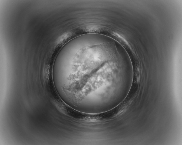 X0000087550495200704271211