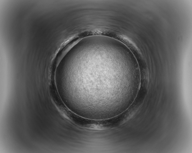 X0000087550496200704271211