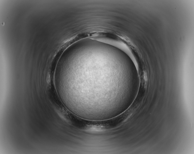 X0000087550500200704271211
