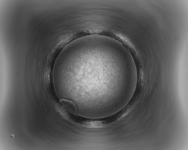 X0000087550501200704271211