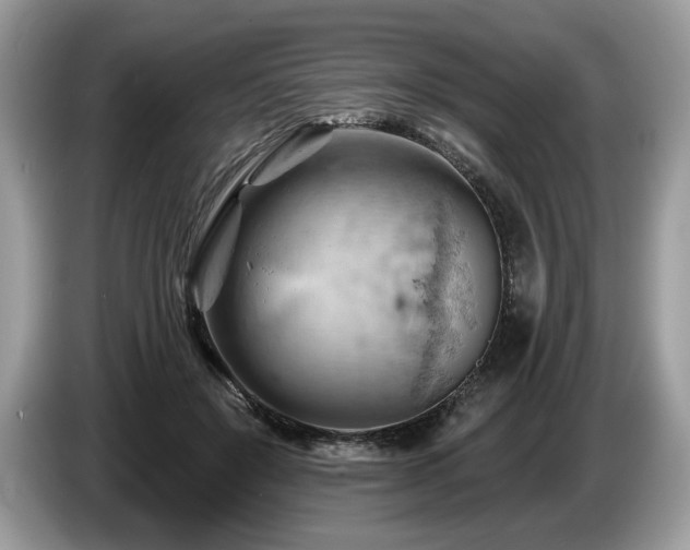 X0000087550503200704271211