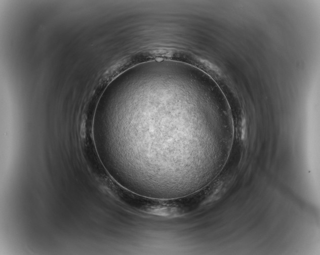 X0000087550504200704271211