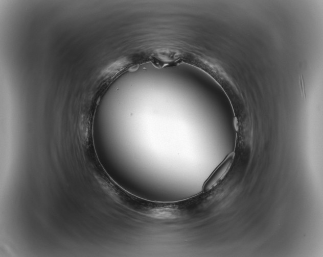 X0000087550505200704271211