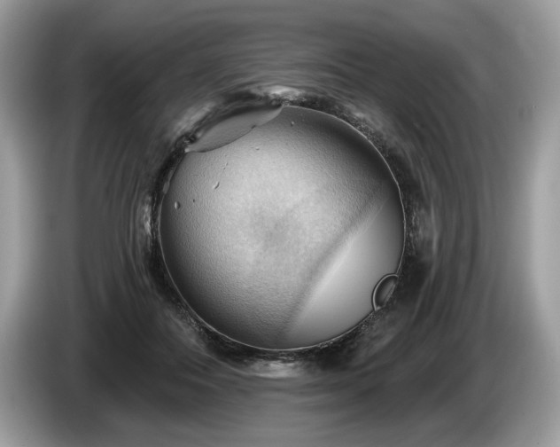 X0000087550506200704271211