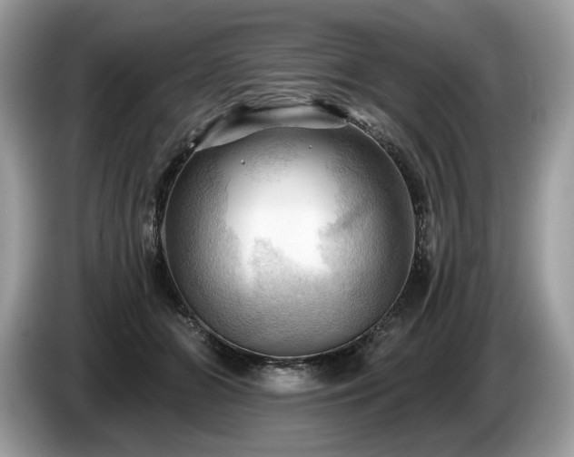 X0000087550510200704271211