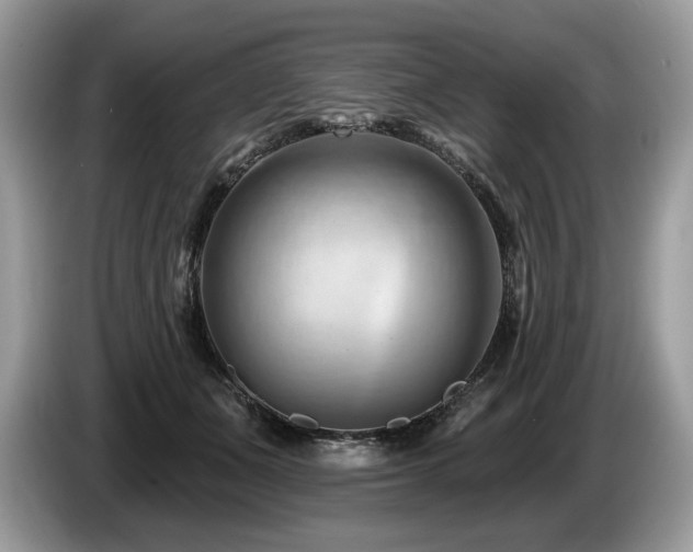 X0000087550511200704271211