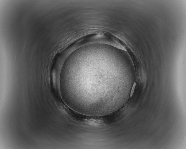 X0000087550512200704271211
