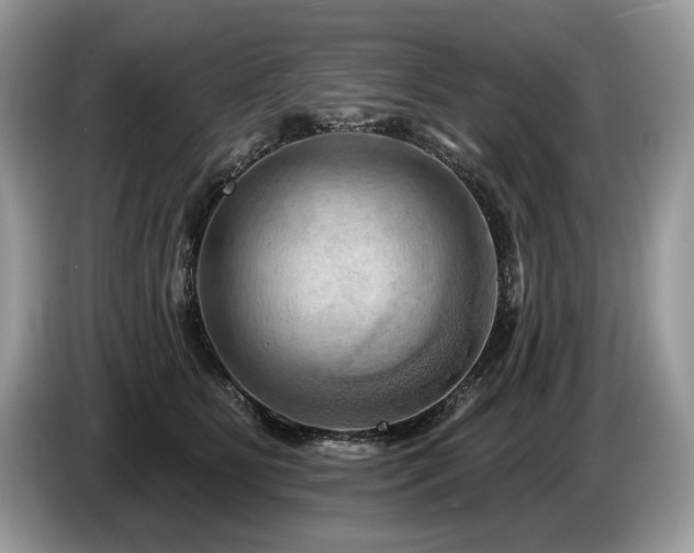 X0000087550515200704271210