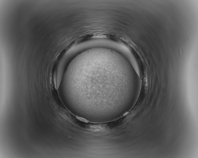 X0000087550516200704271210
