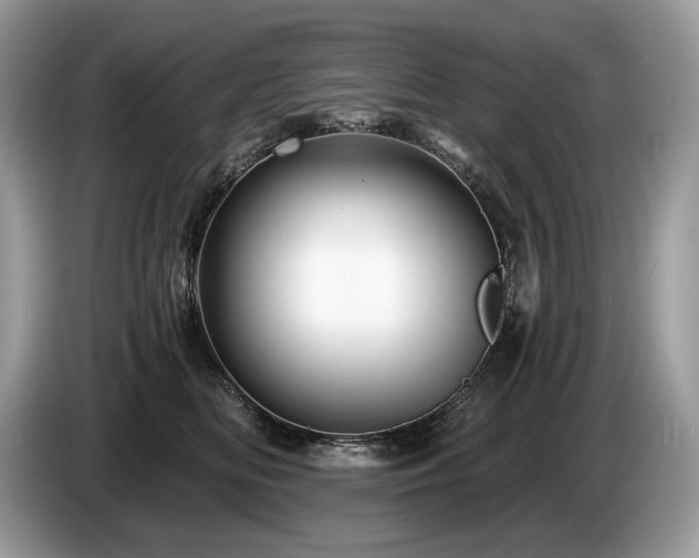 X0000087550518200704271210