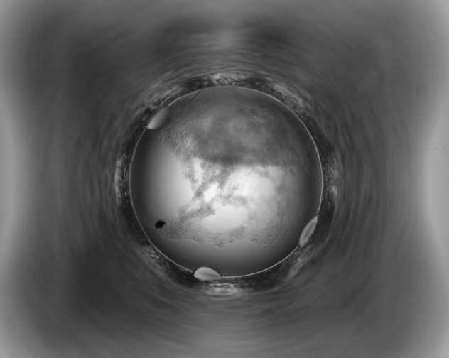 X0000087550519200704271210