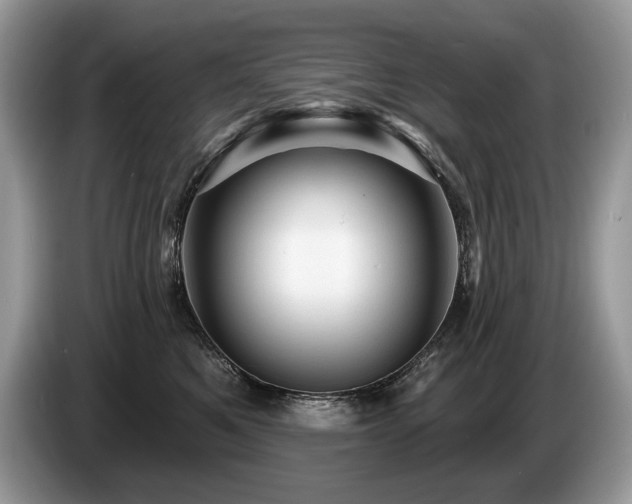 X0000087550521200704271210