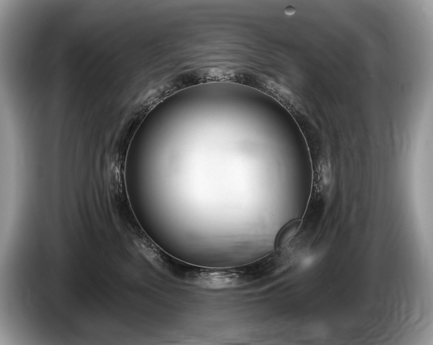 X0000087550522200704271210