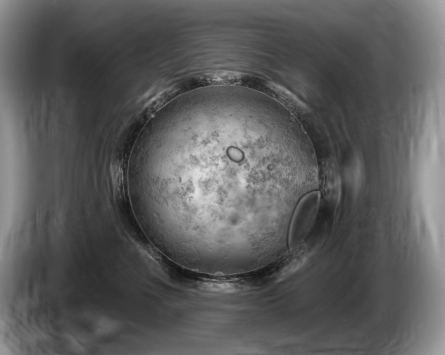 X0000087550523200704271210