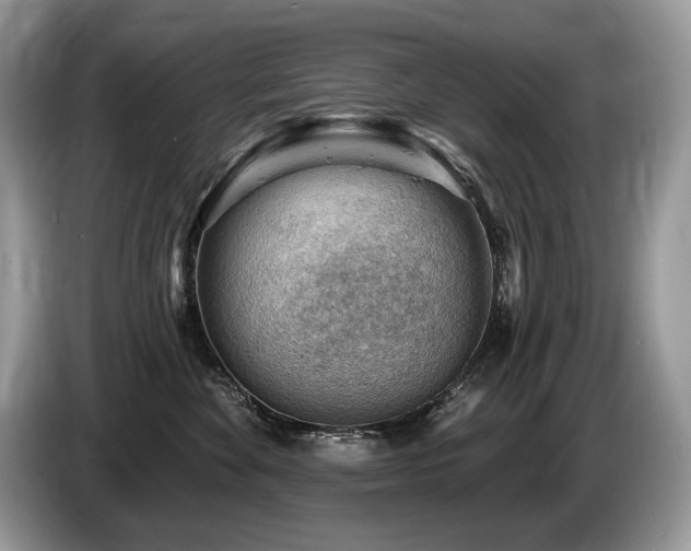 X0000087550524200704271210