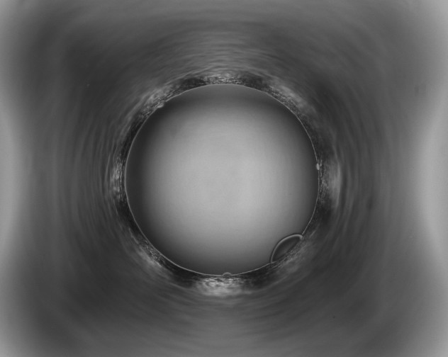 X0000087550526200704271210
