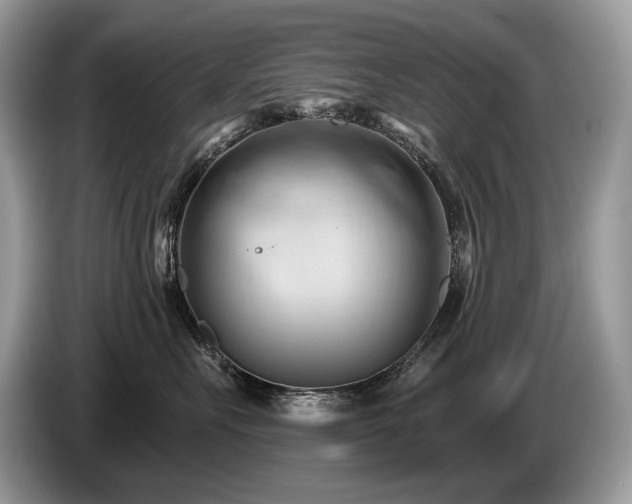 X0000087550527200704271210