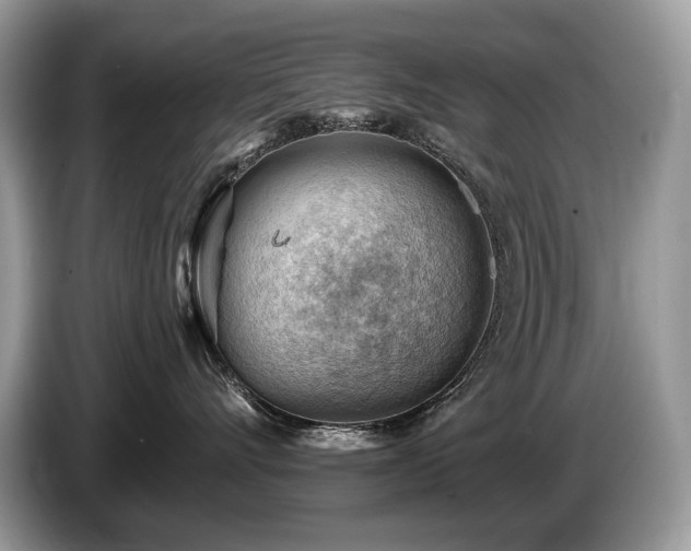 X0000087550528200704271210