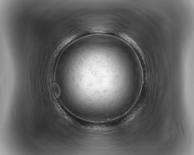 X0000087550529200704271210