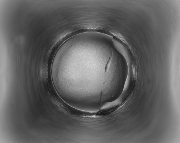 X0000087550531200704271210