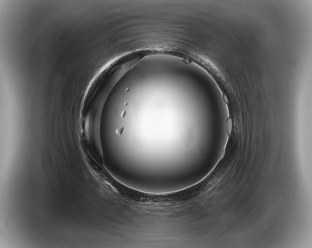X0000087550532200704271210