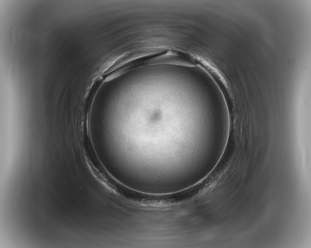 X0000087550533200704271210