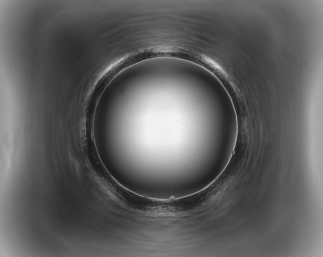 X0000087550535200704271210