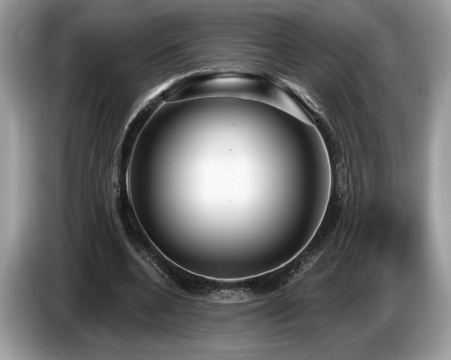 X0000087550536200704271210