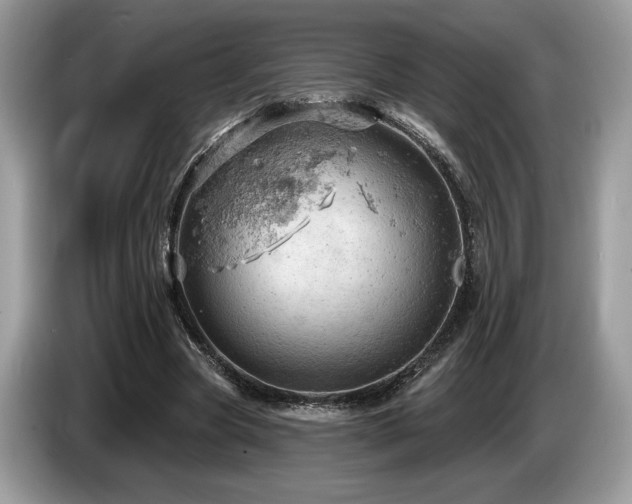 X0000087550537200704271210