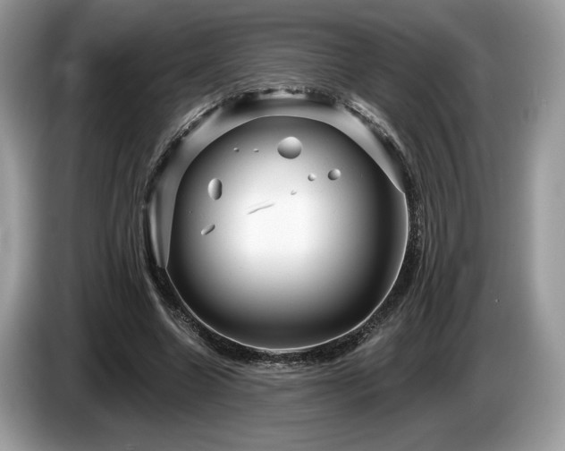 X0000087550538200704271210