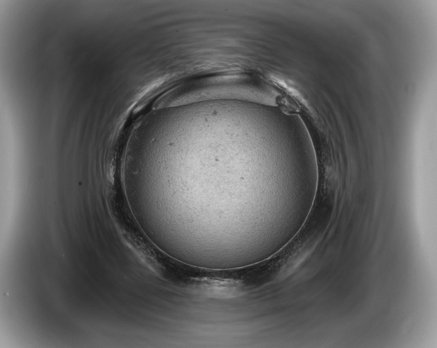 X0000087550539200704271210