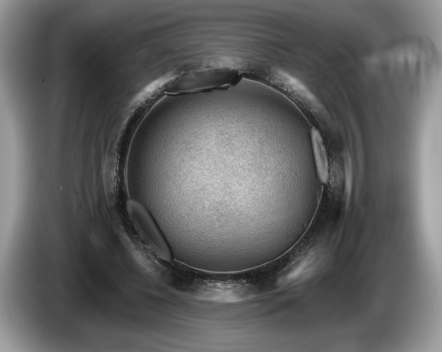 X0000087550540200704271210