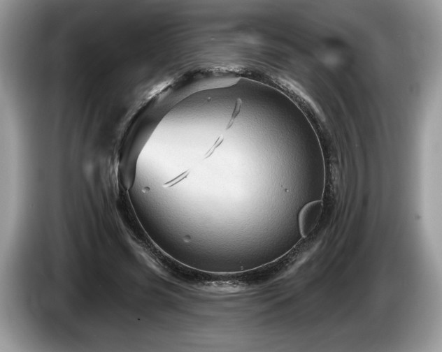 X0000087550541200704271210