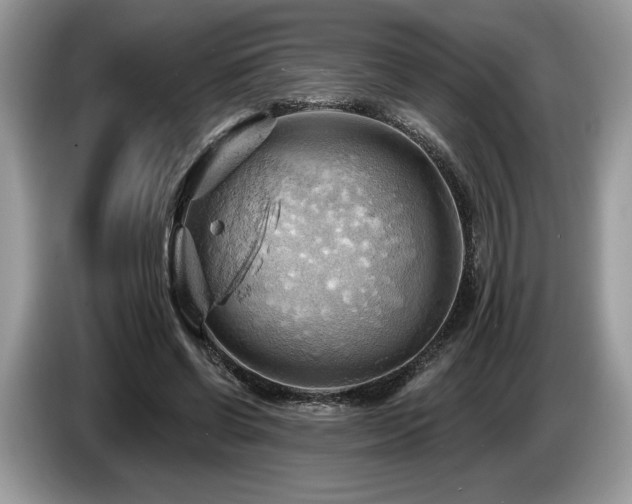 X0000087550542200704271210