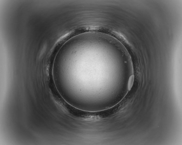 X0000087550543200704271210