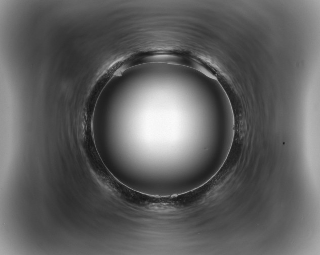 X0000087550544200704271210