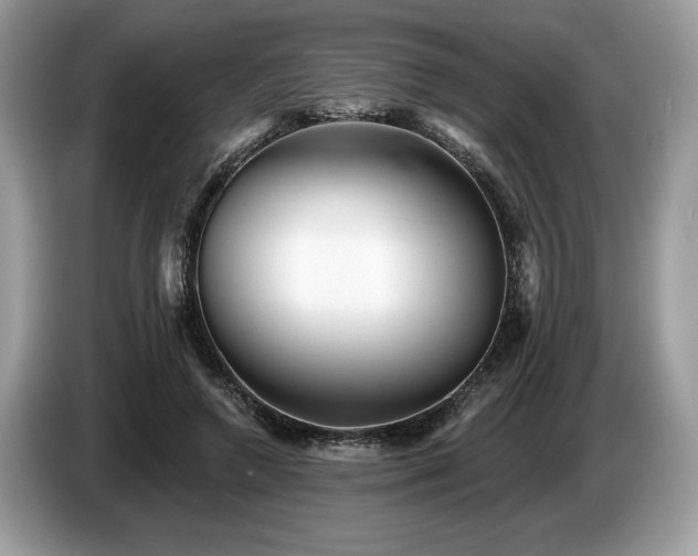 X0000087550546200704271210