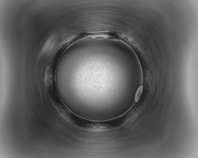 X0000087550547200704271210