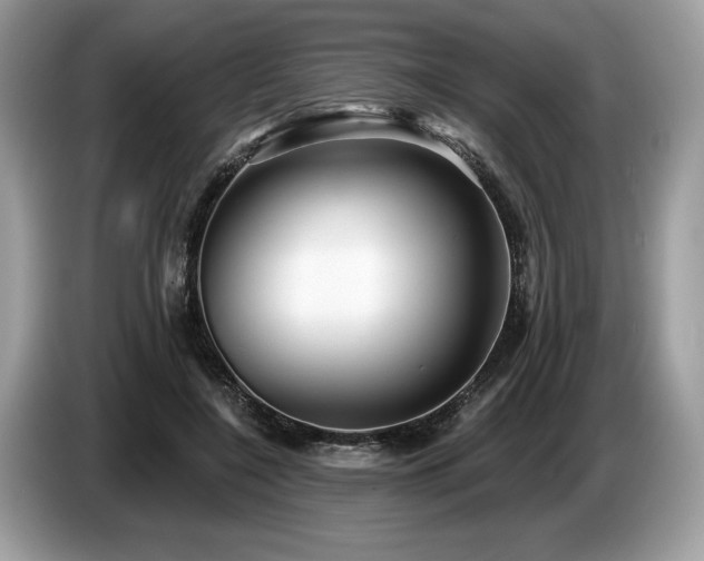 X0000087550548200704271210
