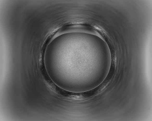 X0000087550552200704271210