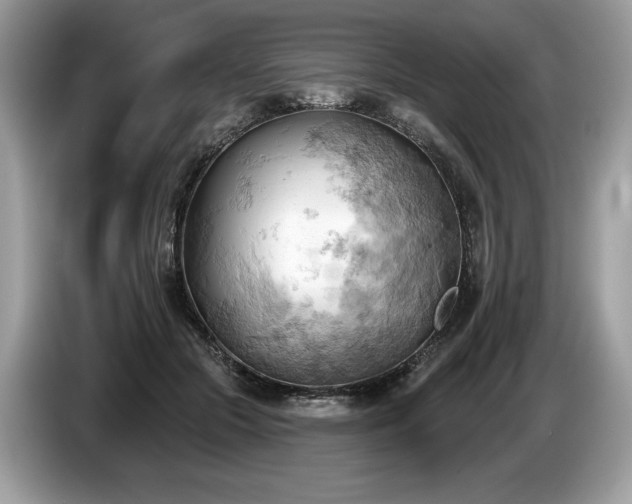 X0000087550553200704271210
