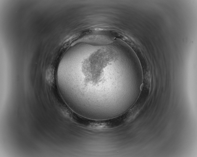 X0000087550554200704271210