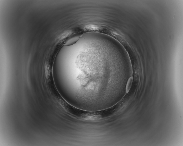 X0000087550555200704271210