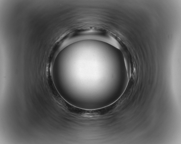 X0000087550556200704271210