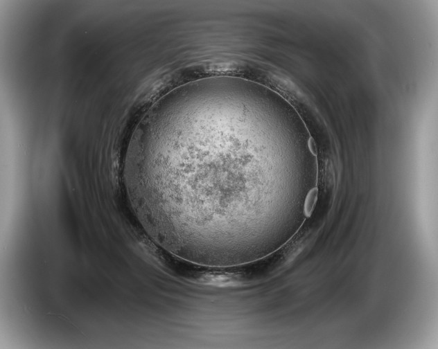 X0000087550557200704271210