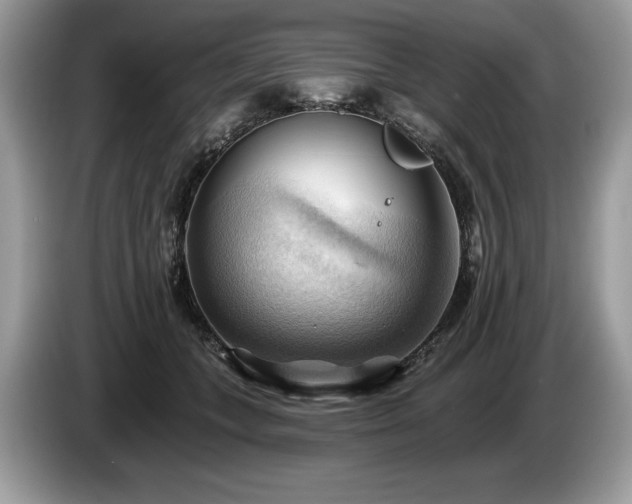 X0000087550559200704271210